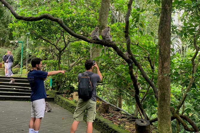 Discover The Best of Ubud: All-Inclusive and Private Guided Tour - Finishing with coffee at Pemulan Bali