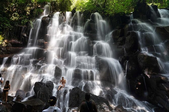 Discover the best waterfalls in Ubud and rice terraces tour - Tegalalang Rice Terrace: Bali’s famous green steps