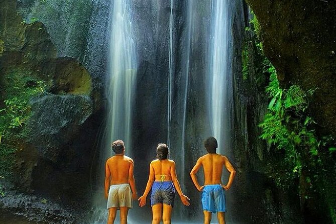 Discover the best waterfalls in Ubud and rice terraces tour - What the $47.50 price really covers