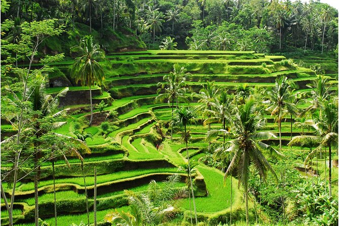 Discover Ubud: 2 Days Ubud Private Tour - Why this two-day Ubud tour works