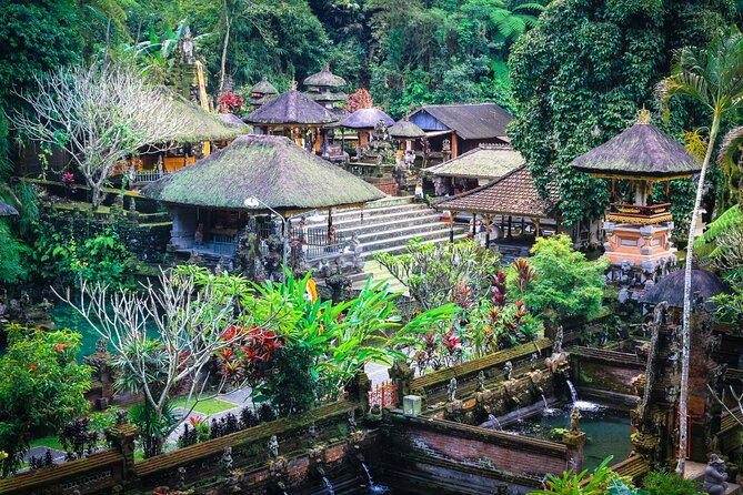 Discover Ubud: 2 Days Ubud Private Tour - Tegalalang Rice Terrace and the swing stop