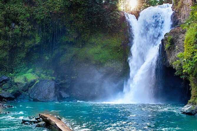 Discover Ubud: Exotism Ubud and Optional Meet the Bali Shaman - Why this private Ubud tour works