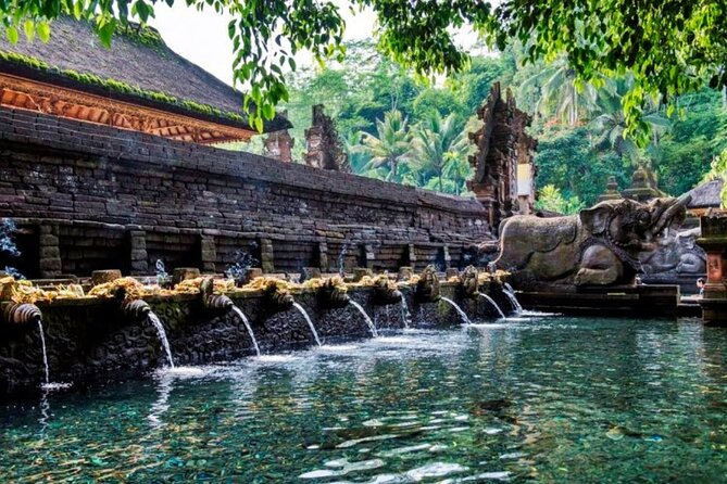 Discover Ubud: Exotism Ubud and Optional Meet the Bali Shaman - Comfort, pace, and who should book