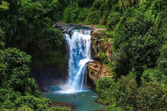 Discover Ubud: Exotism Ubud and Optional Meet the Bali Shaman - Tegalalang Rice Terrace: Bali’s rice culture in one hour