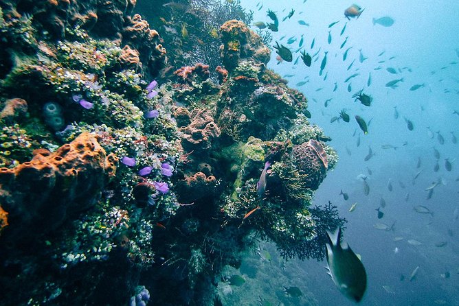 Dive at Tulamben Bali USS Liberty Ship Wreck - Stop two: Exploring the USS Liberty