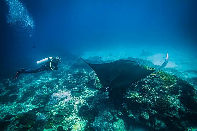 Diving in Nusa Penida - Learning the basics before entering the sea