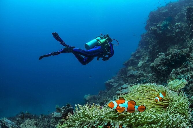 Diving in Nusa Penida - How much value you get for $158.60