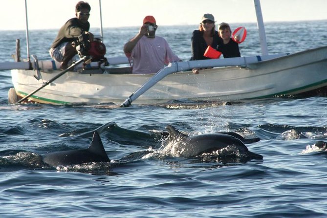 Dolphin Tour and Sunrise Watching in Lovina Beach - All Inclusive - Why Lovina makes this such an early morning