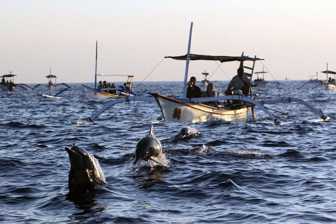 Dolphin Tour and Sunrise Watching in Lovina Beach - All Inclusive - The hard truth about boat numbers