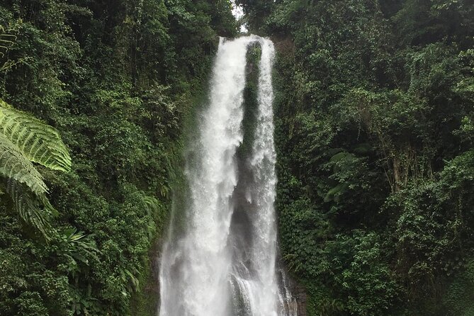 Dolphin Tour and Sunrise Watching in Lovina Beach - All Inclusive - Wanagiri Hidden Hills and the Lake Buyan swing