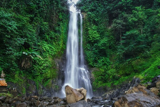 Dolphin Tour and Sunrise Watching in Lovina Beach - All Inclusive - Optional waterfalls and temple stops
