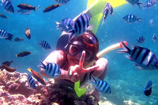 Dolphin Watching Tour, Swimming with Dolphins and Snorkeling - Why the early start from Ubud matters