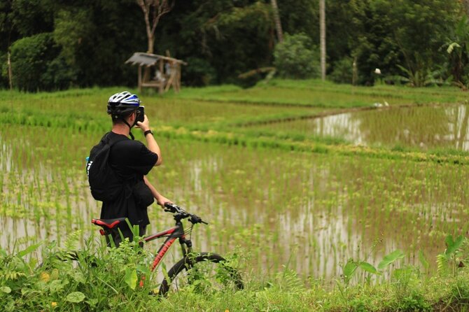 Downhill Cycling Ubud with Volcano, Rice Terrace and Educational - Starting Near Mount Batur and Riding Downhill