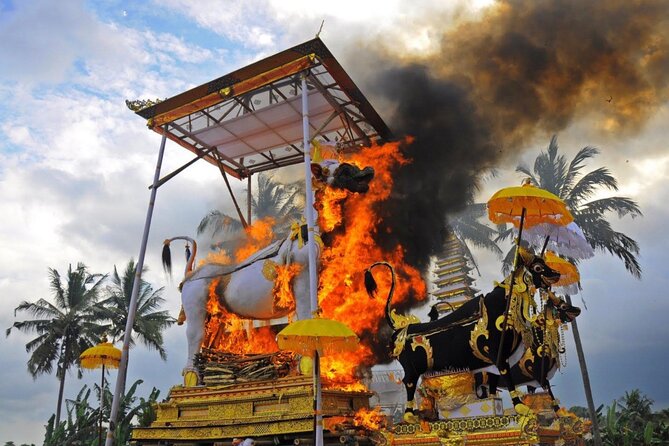 Downhill Cycling Ubud with Volcano, Rice Terrace and Educational - Family Compounds, Cemeteries, Schools, and Rice Fields