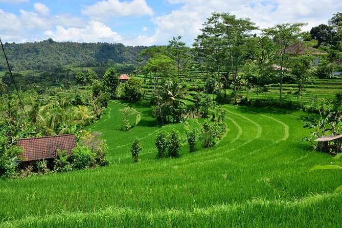 East Bali Tour: Gate of Heaven, Water Palace, Sleeping Gajah - The dam and curtain-like waterfall view