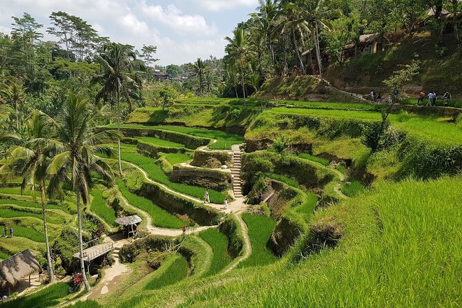 East of Bali Tour with Lempuyang Temple, Waterfall, Tirta gangga - What the private car changes