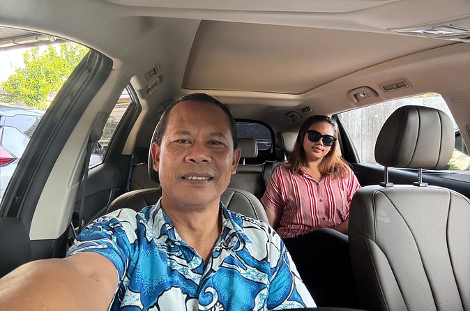 Eco Friendly Premium Electric Vehicle Airport Transfers - Who should book this Bali transfer