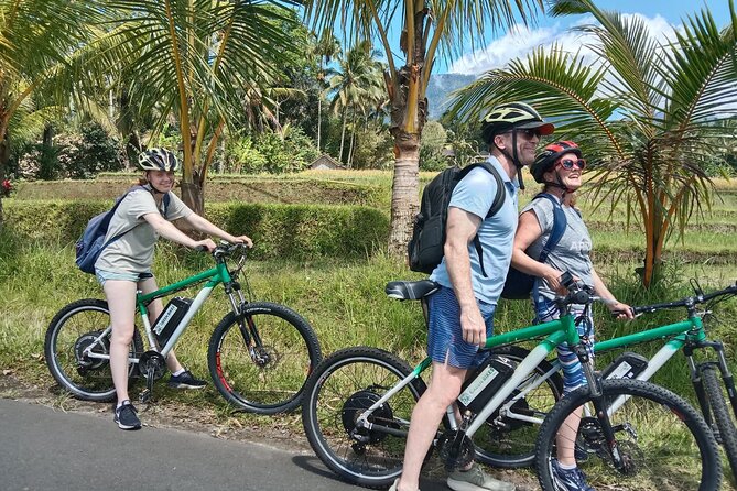 Electric bicycle tour in Jatiluwih UNESCO site - Key points at a glance