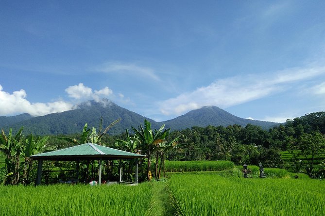 Electric bicycle tour in Jatiluwih UNESCO site - Is $75 good value?
