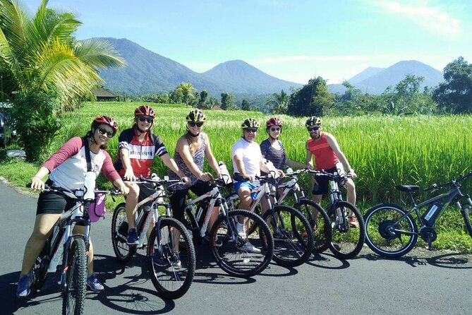 Electric bicycle tour in Jatiluwih UNESCO site - Bamboo, jungle, streams, and working rice fields