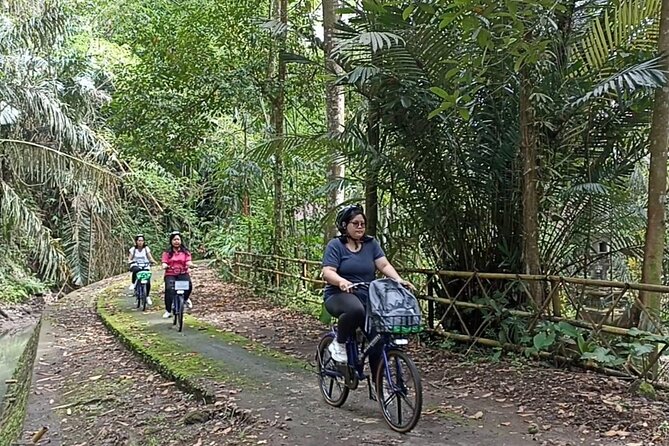Electric bicycle tour in quaint South Ubud - Key points to know before you pedal