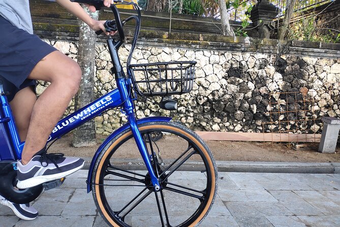 Electric bicycle tour in quaint South Ubud - Setting out from Mambal through working fields
