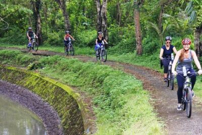 Electric bicycle tour in quaint South Ubud