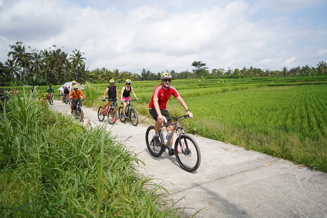 Electric Bike and Swing Package - Key points at a glance