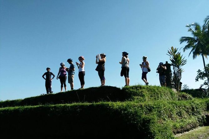 Electric Cycling Tour of Ubud with Free Hotel Transfer and Lunch - The jungle swing, coffee, and an important ethical choice