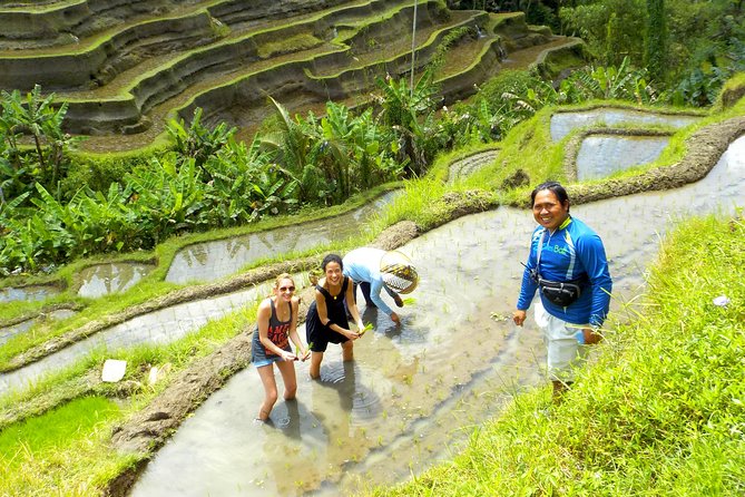 Electric Cycling Tour of Ubud with Free Hotel Transfer and Lunch - Lunch or dinner after the ride