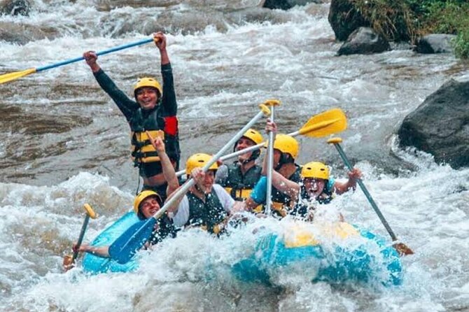 Excellence Bali ATV (Quad Bike) , White Water Rafting with Swing. - The swing and the quieter coffee stop