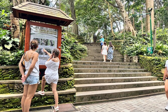Exclusive Ubud Experience: Nature, Culture & Adventure in One Day - Tegallalang Rice Terraces and the Jungle Swing