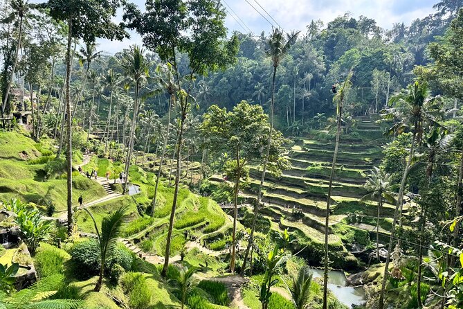 Exclusive Ubud Experience: Nature, Culture & Adventure in One Day - Tegenungan or Tukad Cepung for a Water Break