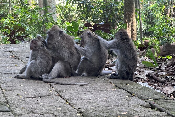 Exclusive Ubud Experience: Nature, Culture & Adventure in One Day - Sacred Monkey Forest Sanctuary