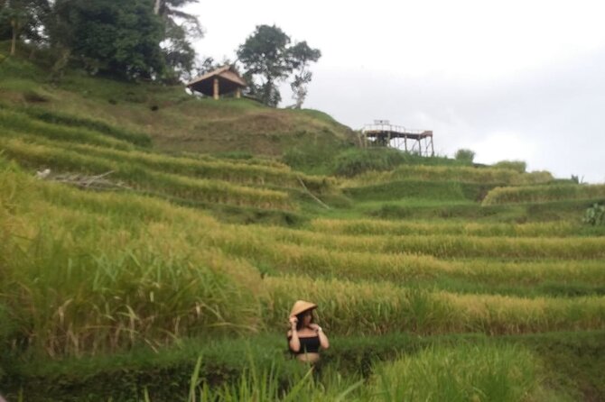 Experience Full Day to Bali Swing Temple and Monkey Forest - Who Gets the Best Value From This Tour