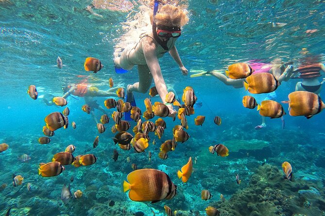Explore 4 iconic snorkeling spots of Manta Bay in Nusa Penida - Key details before you book