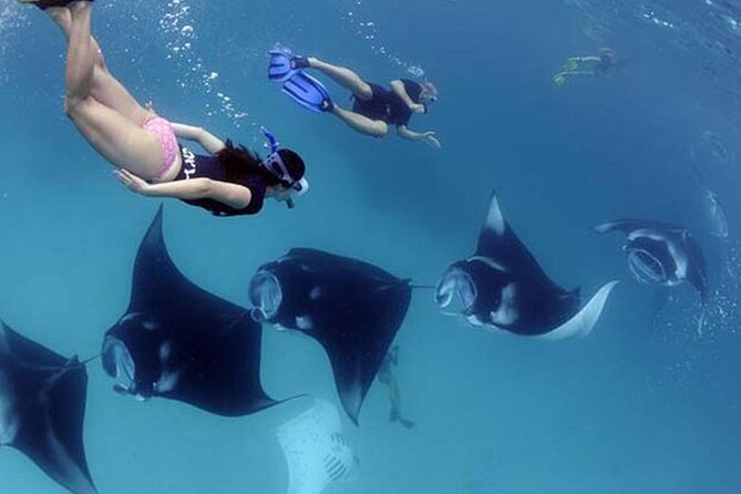 Explore 4 iconic snorkeling spots of Manta Bay in Nusa Penida - What the $27 price really covers
