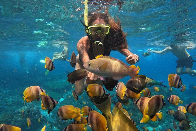 Explore 4 iconic snorkeling spots of Manta Bay in Nusa Penida - Sanur or Nusa Penida: choose your starting point carefully