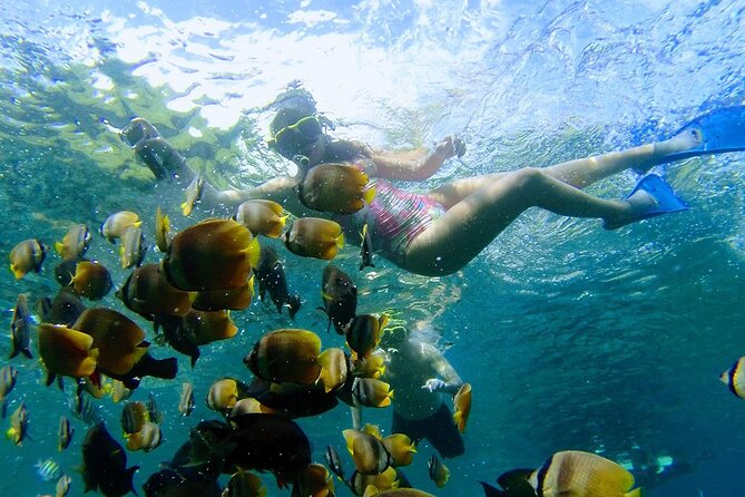Explore 4 iconic snorkeling spots of Manta Bay in Nusa Penida - What is included, and what should you bring?