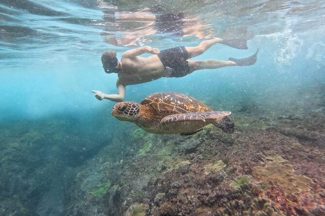 Explore 4 iconic snorkeling spots of Manta Bay in Nusa Penida - Service can be warm, but organization varies