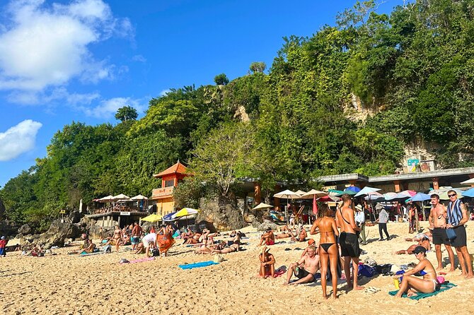 Explore Bali Beaches with Private Minivan Tour - The private minivan and guide service