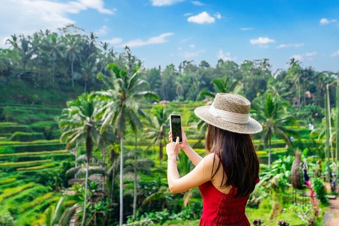 Explore Bali in 3 Days – Custom Itinerary - Private Tour - What $105 buys you in three busy days