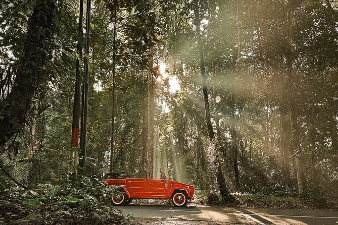 Explore Bali's Hidden Gems In a Classic Vw Convertible - Tirta Empul requires respect and a sarong