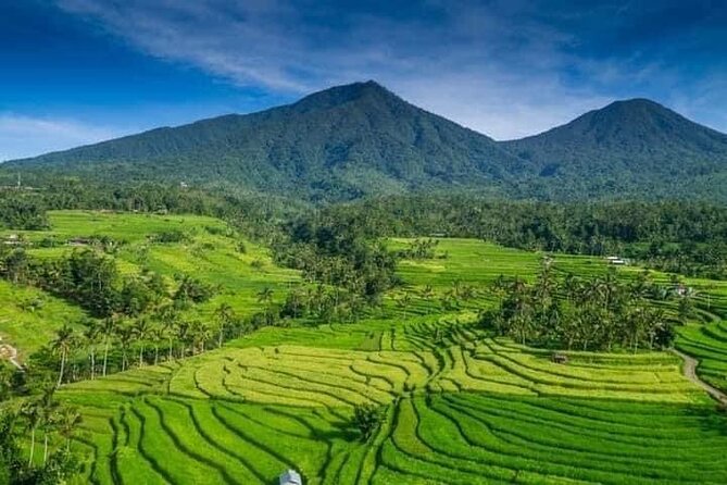 Explore Munduk Customized 8 Hour Day Tour in North Bali - Why Munduk works well for a private day