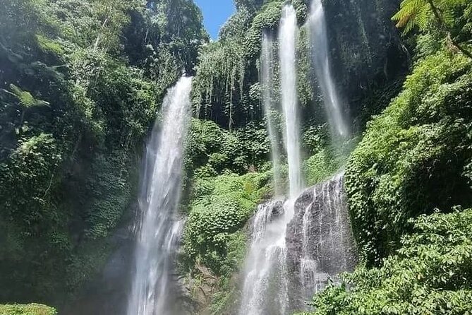Explore Munduk Customized 8 Hour Day Tour in North Bali - Coffee plantation and eight tasting samples