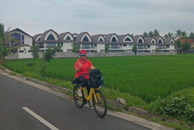 Explore Rice Fields and Hidden Villages with Ubud E-Bike Tour