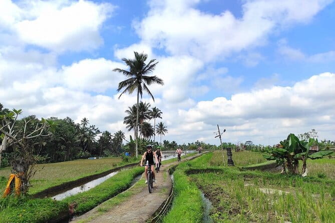 Explore Rice Fields and Hidden Villages with Ubud E-Bike Tour - Lunch, water, and the practical extras