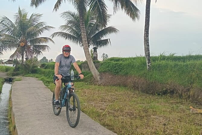 Explore Rice Fields and Hidden Villages with Ubud E-Bike Tour - What the $44.07 price really covers