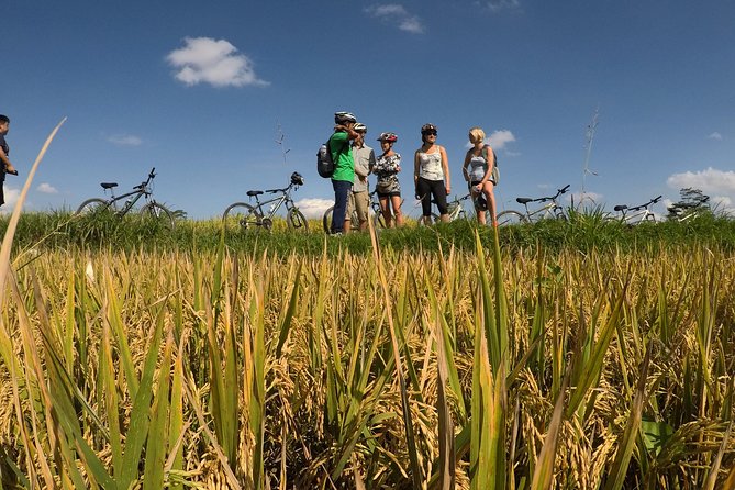 Explore Ubud with Electric Bike - Starting at 7:30 a.m. With Breakfast at Greenkubu