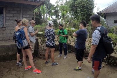 Explore Ubud with Electric Bike